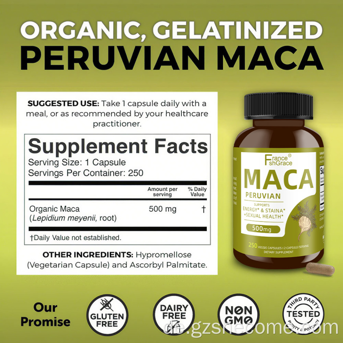 MACA -Wurzelpräparat für Frauen organische Maca -Supplement